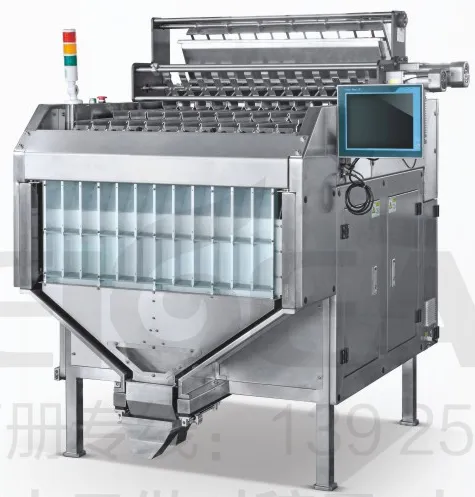 Multi-channel vision counting machine