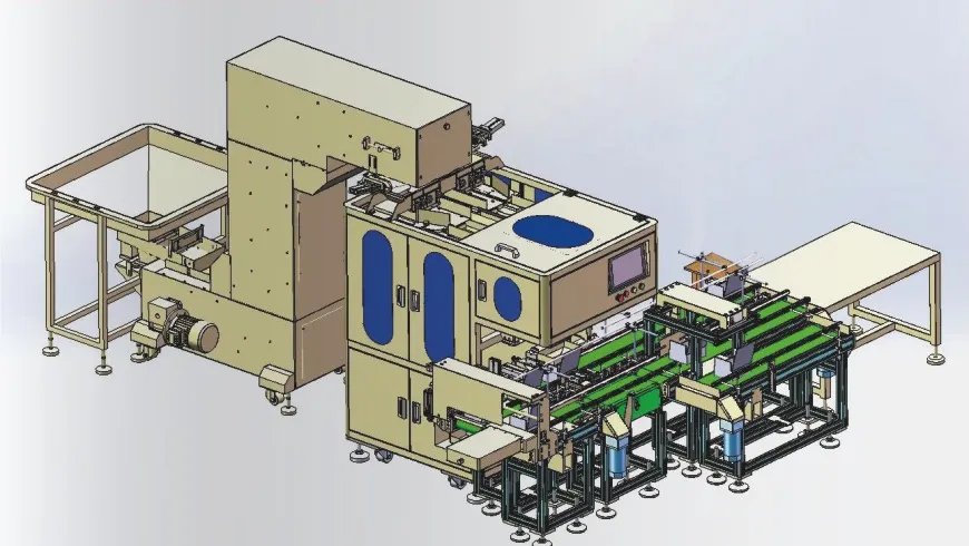 Weighing, counting and boxing line layout