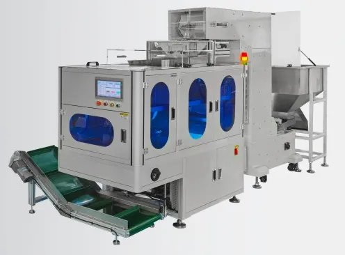 Weighing and packaging machine